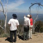 yrtleford - Avventura con il 4x4 sul mt. buffalo national park.